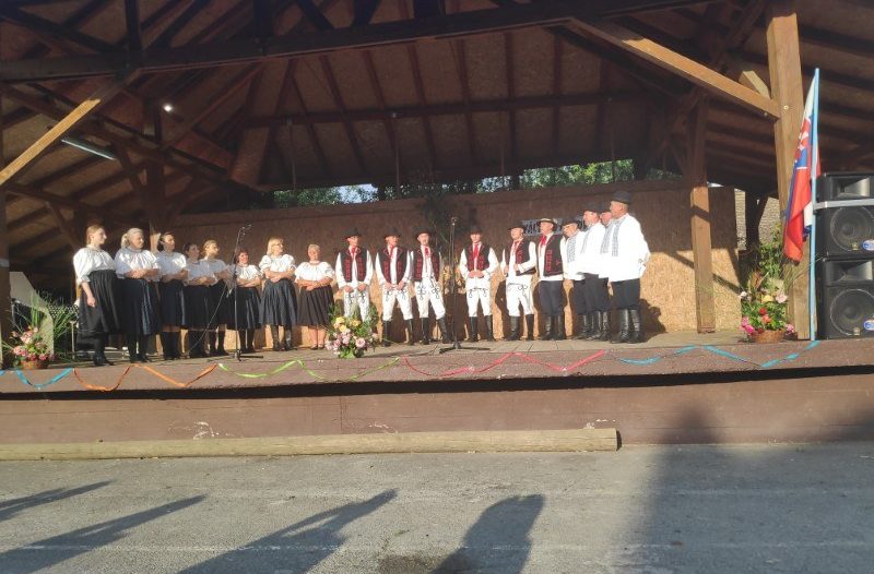 Vinkovci - vinkovci.com.hr, Kultura - Održana manifestacija „Rušenje svibanjskog stabla Majpana“