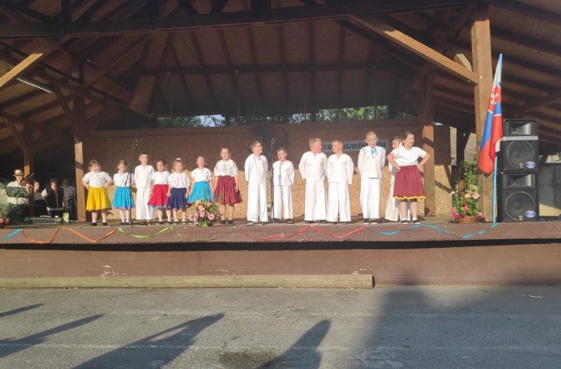 Vinkovci - vinkovci.com.hr, Kultura - Održana manifestacija „Rušenje svibanjskog stabla Majpana“